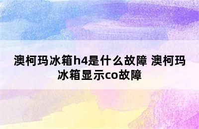 澳柯玛冰箱h4是什么故障 澳柯玛冰箱显示co故障